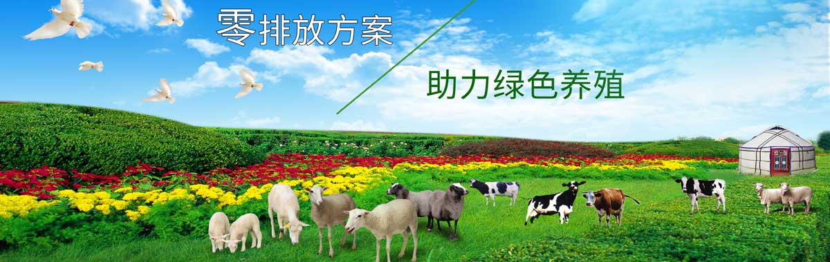 &#23436;&#32654;